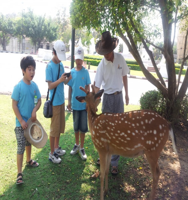 2013년 태국 522.jpg