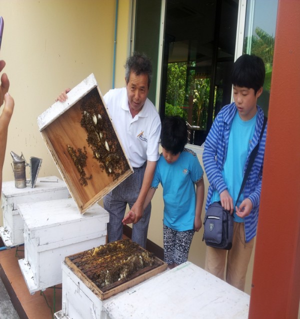 2013년 태국 512.jpg